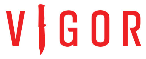 VIGOR_LOGO